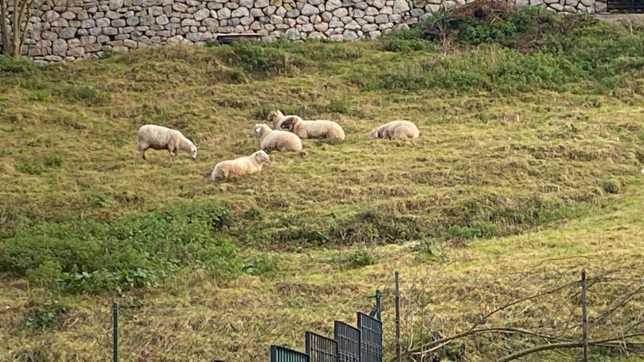 La Casa De Fito Cerca Del Centro De Comillas Exterior foto